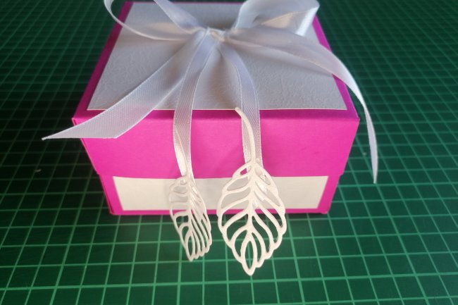 Pārsteiguma kastīte