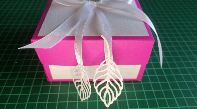 Pārsteiguma kastīte